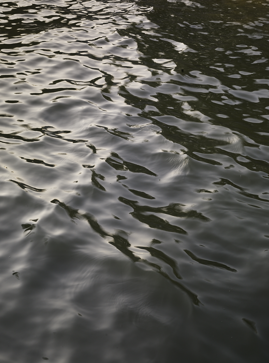 liquid bangkok 19, Bangkok, 2016